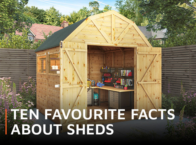 10 Genius ways to organise your shed – Waltons