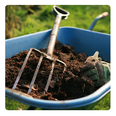 Garden Jobs in May | Waltons Blog | Waltons