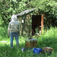 10 brilliant beekeepers' blogs  Waltons Blog  Waltons