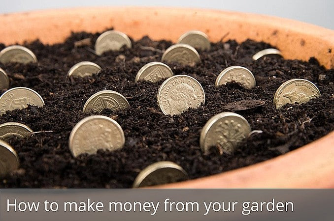 how-to-make-money-from-your-garden-waltons-blog-waltons-sheds