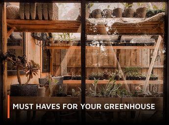 must-haves-for-your-greenhouse