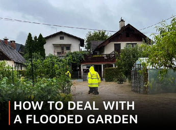 How to deal with a flooded garden