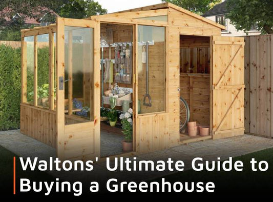 Waltons’ ultimate guide to buying a greenhouse