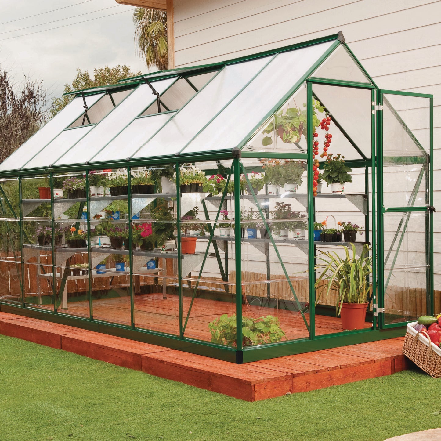 Canopia by Palram 6 x 12 Hybrid Greenhouse Green